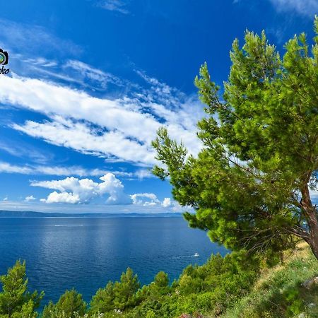 Vila Maslina Apartments Mit Pool Und Garten Nahe Am Strand Tučepi Eksteriør billede