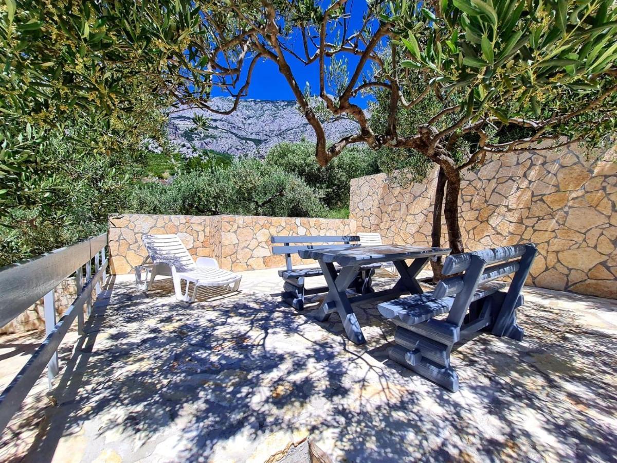 Vila Maslina Apartments Mit Pool Und Garten Nahe Am Strand Tučepi Eksteriør billede