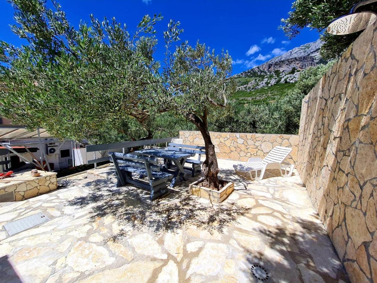 Vila Maslina Apartments Mit Pool Und Garten Nahe Am Strand Tučepi Eksteriør billede