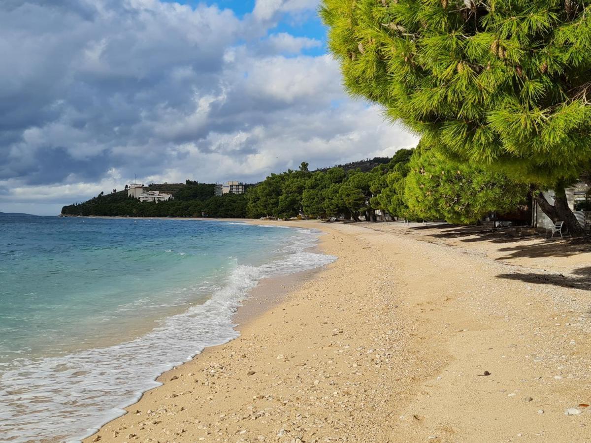 Vila Maslina Apartments Mit Pool Und Garten Nahe Am Strand Tučepi Eksteriør billede