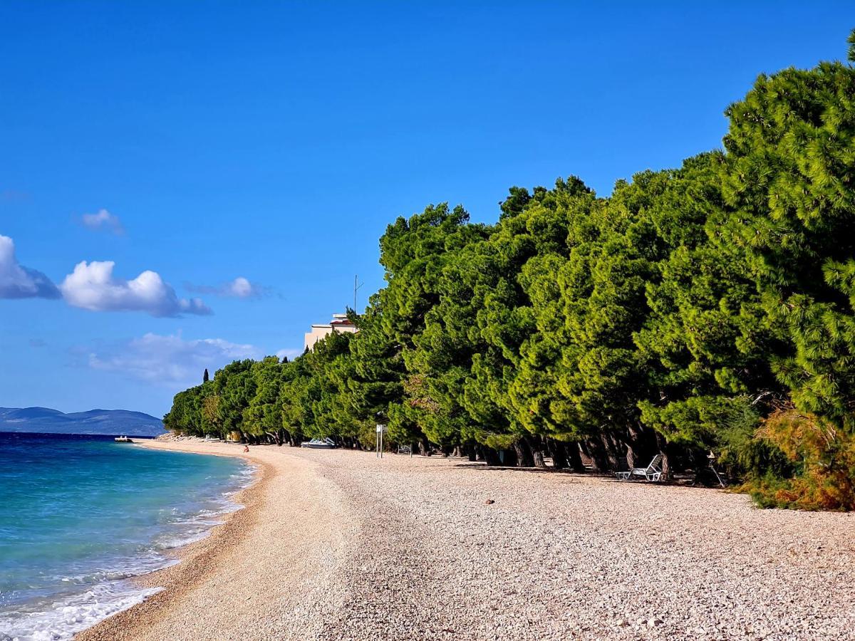 Vila Maslina Apartments Mit Pool Und Garten Nahe Am Strand Tučepi Eksteriør billede