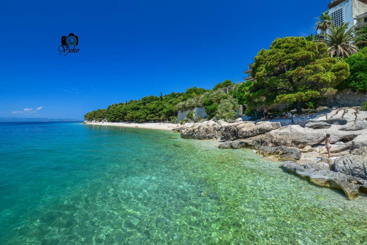 Vila Maslina Apartments Mit Pool Und Garten Nahe Am Strand Tučepi Eksteriør billede