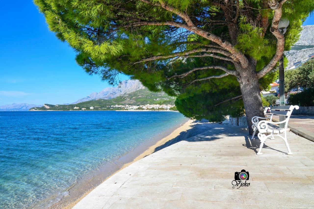 Vila Maslina Apartments Mit Pool Und Garten Nahe Am Strand Tučepi Eksteriør billede